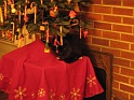 20111123 Max Under The Christmas Tree